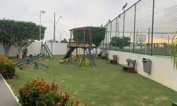 Imagem 16: Palm Ville 66752