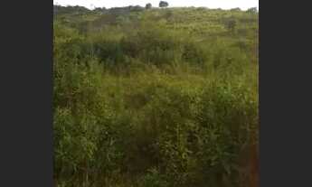 Imagem 5: Terra no panorama