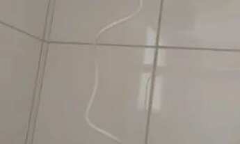 Imagem 4: Apartamento com 2 dormitórios para alugar, 50 m² por R$ 1.262,98/mês - Jardim São Domingos