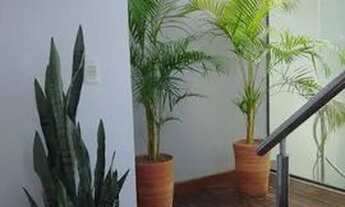 Imagem 2: Cobertura duplex para aluguel possui 80 metros quadrados com 1 quarto em Ponta Negra - Nat