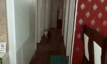 Imagem 7: Apartamento Padrão em Jundiaí