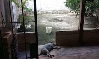 Imagem 5: Alugo casa muito bem reservada bairro ampliação Itaboraí