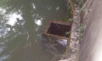 Imagem 3: Terra no panorama