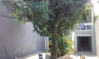 Imagem 3: Vendo 2 casas mas terreno