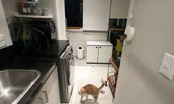 Imagem 2: Mobiliado com bom gosto