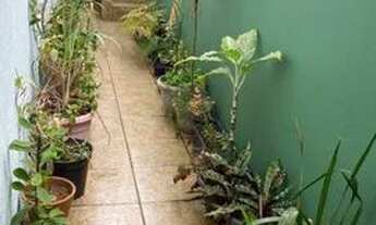 Imagem 6: Casa 250m² 4 dormitórios sendo 1 suíte R$ 2.300