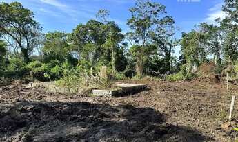 Imagem: Terreno para investimento - Escritura e