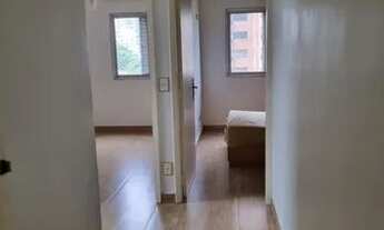 Imagem 7: APARTAMENTO - VILA CLEMENTINO - SP