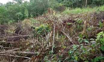 Imagem 6: Vendo uma colônia de 632 hectares, com 35 hectares de pasto mais 40 hectare