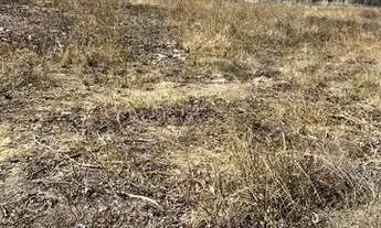 Imagem 6: Área comercial e industrial (alugo) jardim limoeiro