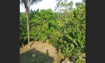 Imagem 7: Venda Chácara com venda por R$80.000