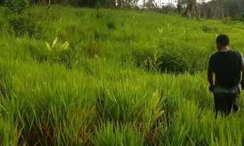 Imagem 2: Vendo uma colônia de 632 hectares, com 35 hectares de pasto mais 40 hectare