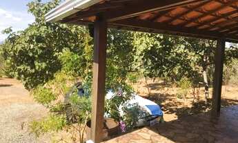 Imagem 4: Sitio 1500 m², casa, cisterna, plano, terra fértil, arvores frutíferas, fogão a lenha