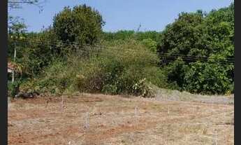 Imagem 6: Sítio com 22.800m2 em Bady Bassitt