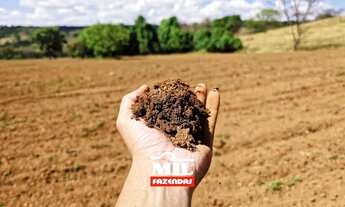 Imagem 3: Fazendinha de Dupla Aptidão, localizada no mun. de Leopoldo de Bulhões