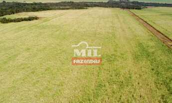 Imagem 4: Fazenda 113 alqueires (547 hectares ) Acreuna - go