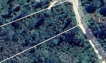 Imagem: Lote - Pirenópolis