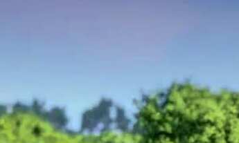 Imagem 3: Lote / Terreno em Ingleses do Rio Vermelho - Florianópolis, SC a partir de R$422.000