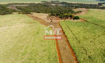 Imagem 3: Fazenda 113 alqueires (547 hectares ) Acreuna - go