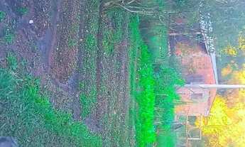 Imagem 6: Mini Sitio Na Colonia Monte Bonito