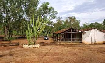 Imagem: Fazenda de 176 ha, ( 36 alqueires ), no