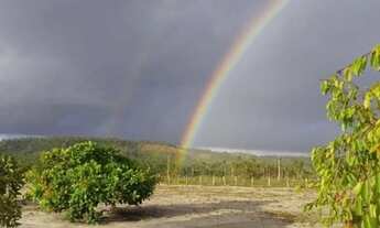 Imagem 7: Vendo lotes no Povoado Flexeiras em Santo Amaro das Brotas