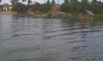 Imagem: Vendo Ilha no São Francisco - Próximo