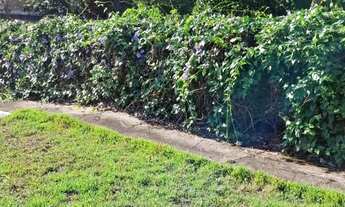 Imagem 5: OPORTUNIDADE ÚNICA!!!