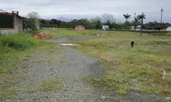 Imagem 3: ÁREA INDUSTRIAL no JARDIM SOFIA com 0 quartos para VENDA, 8843 m²