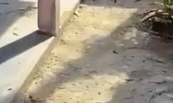 Imagem 4: Casa a venda em Cabo Frio