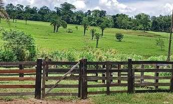 Imagem 5: Fazenda 26.8 alqueires município de Trindade-GO