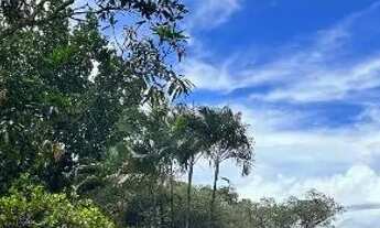 Imagem 4: Chácara em Itaporanga, povoado araticum