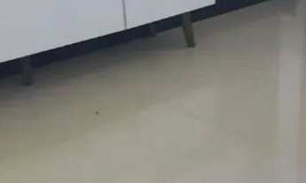 Imagem 5: Casa lagoa santa