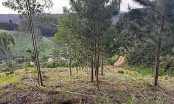 Imagem 4: Chácara R$35.000