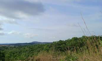 Imagem 3: Vendo chácara em jaraguá Góias aceito propostas pego carro também