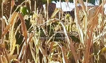 Imagem 3: Terreno a venda 300m² Pq Gabriel Hortolandia