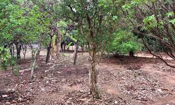 Imagem 7: Chácara com 4.850 metros próximo do centro de caldas 90% murada