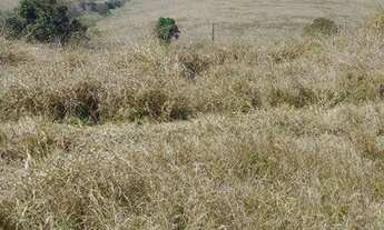 Imagem 6: Terreno à venda no Bairro do Rio Abaixo, na cidade de Tuiuti/SP