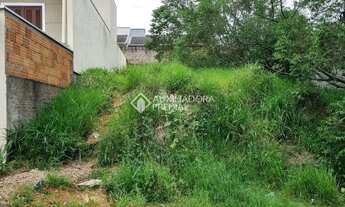 Imagem: Terreno no bairro Arroio da Manteiga