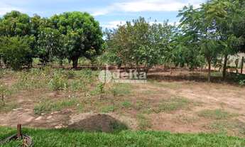 Imagem 6: Chácara Residencial disponível para Venda no bairro Área Rural em Uberlândia-MG