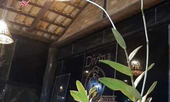 Imagem 4: Alugo um ponto para Pizzaria Alto da Ponte