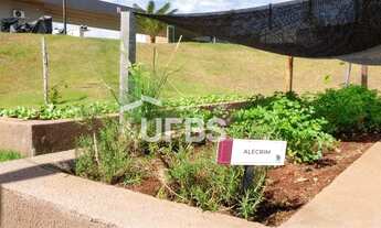 Imagem 10: Lote no Jardins França