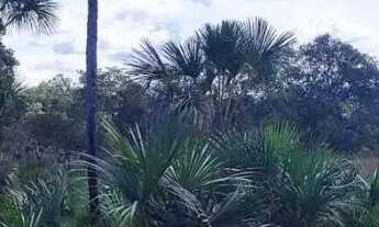 Imagem 3: Fazenda 1.194 Alqueires Plana Dupla Aptidão