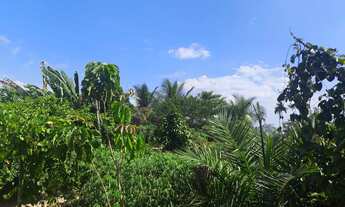 Imagem 6: Vendo sítio em Itaporanga dajuda