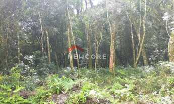 Imagem 3: Lote em condomínio em Rua 9 - Alpes - São Francisco de Paula/RS