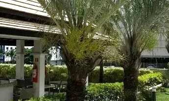 Imagem 4: Vendo excelente 1/4 no Mandarim, PORTEIRA FECHADA