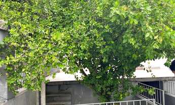 Imagem 2: Alugo ou vendo casa na Rua primeira Santa Cruz