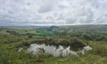 Imagem 6: Velleda oferece magnífico sítio 20 hectares em Encruzilhada do Sul, oportunidade!