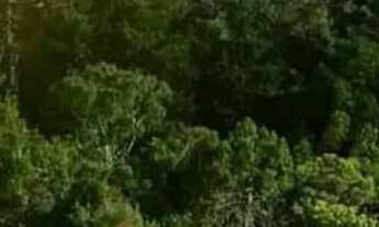 Imagem: Lote em Descansópolis - Descansópolis