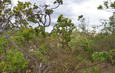 Imagem 2: Lote a venda Terreno / lote com venda por R$25.000